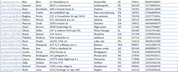 100 USA Leads